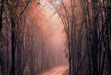 2023FIFA年度最佳球員提名：羅德裏.