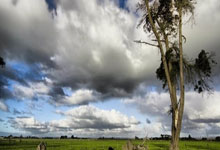 勇士與森林狼對決評析：鋒線防守封鎖華子蘭豆 庫裏擋拆迷惑戈貝爾.