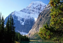 弗拉米尼：足球平臺巨大，球員肩負環保責任！.