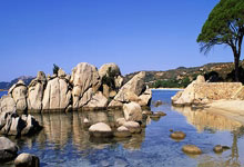 必发体育：乒超联赛：孙颖莎或与王曼昱决赛碰面.